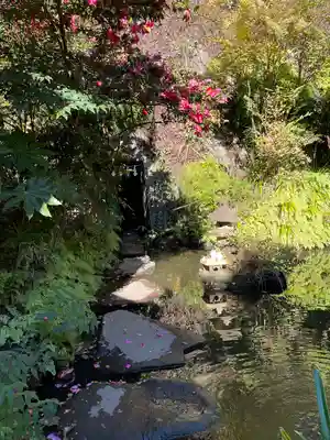 大綱金刀比羅神社(神奈川県)