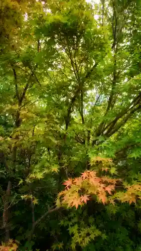 津島神社の自然
