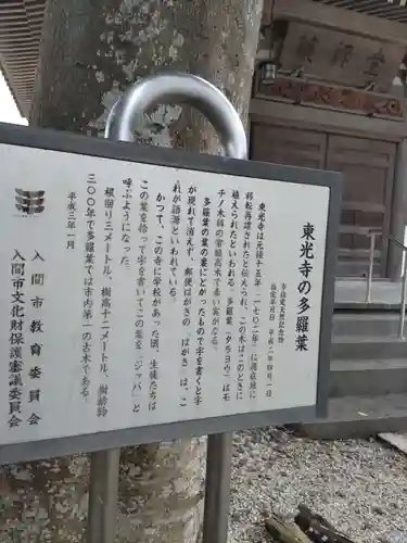 東光寺の歴史