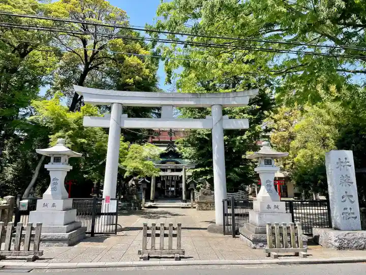 杵築大社(東京都)