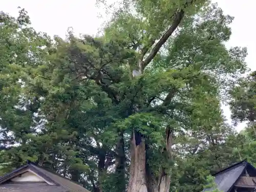天引八幡神社(京都府)