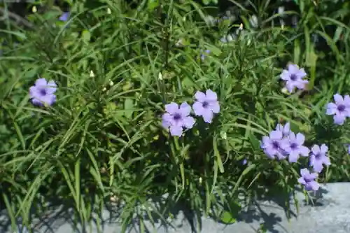 四條畷神社(大阪府)