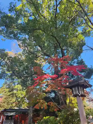 武蔵一宮氷川神社(埼玉県)