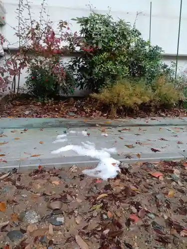 白狐山光星寺(山形県)