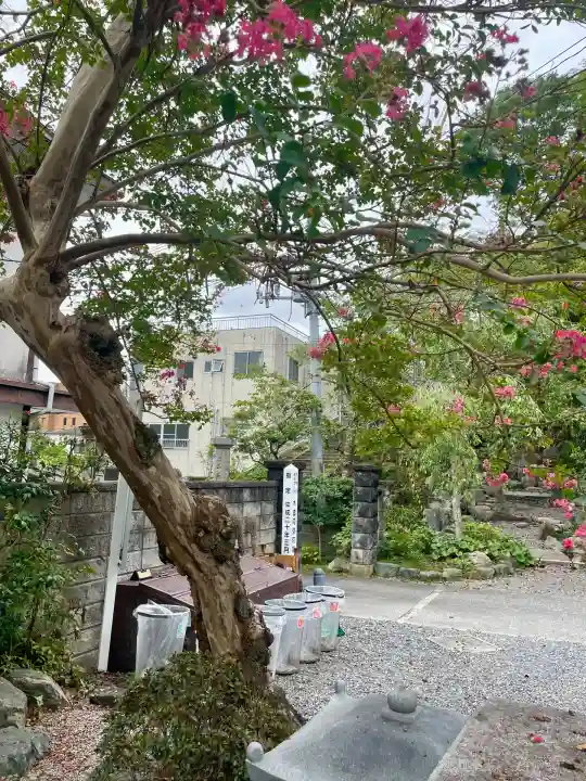 惣善寺(福島県)