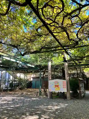 國領神社(東京都)