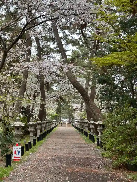 鶴嶺八幡宮の{uncategorized: "未分類", other: "その他", undefined: "問題あり", building: "その他建物", grave: "お墓", sacred_gate: "鳥居", guardian: "狛犬", statue: "像", buddha: "仏像", history: "歴史", nature: "自然", garden: "庭園", animal: "動物", pagoda: "塔", temizu: "手水舎", mountain_gate: "山門・神門", sanctuary: "本殿・本堂", subordinate: "末社・摂社", art: "芸術", scenery: "景色", jizo: "地蔵", ema: "絵馬", goshuin: "御朱印", omikuji: "おみくじ", items: "授与品その他", amulet: "お守り", goshuincho: "御朱印帳", eats: "食事", festival: "お祭り", votive_dance: "神楽", shichigosan: "七五三参", wedding: "結婚式", experience: "体験その他", initially: "初詣", around: "周辺", anti_infection: "感染症対策"}