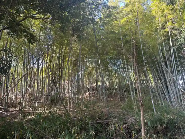 讃岐神社(奈良県)