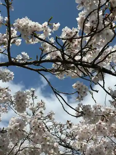櫻宮(大阪府)