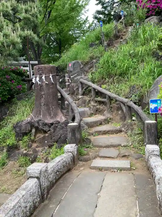 千駄ヶ谷冨士浅間神社(東京都)