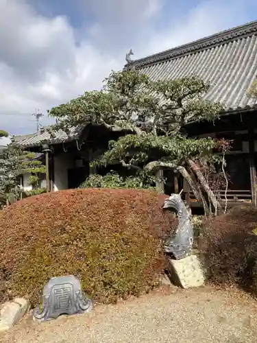 円通寺の庭園