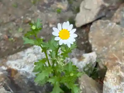 西方山極楽寺(岐阜県)