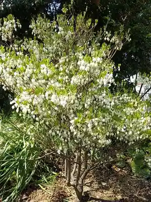比佐豆知神社(三重県)