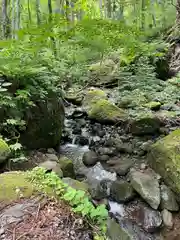 戸隠神社奥社(長野県)