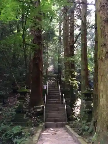 胎蔵寺(大分県)