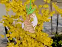 日本唯一香辛料の神 波自加彌神社(石川県)