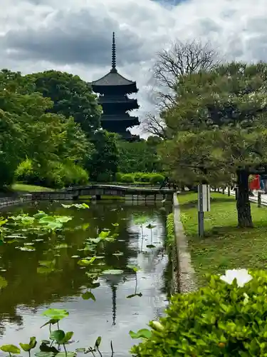 東寺（教王護国寺）の景色
