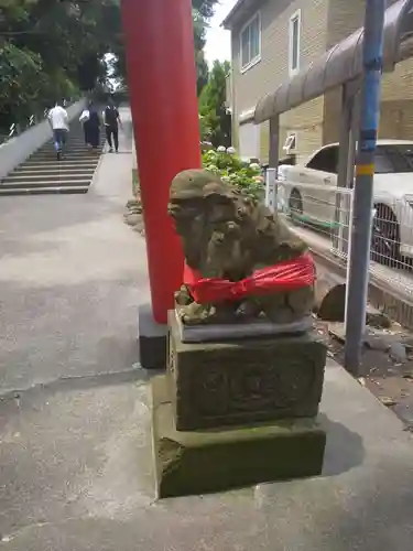 富岡八幡宮の狛犬