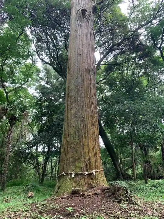 御嶽神社(千葉県)