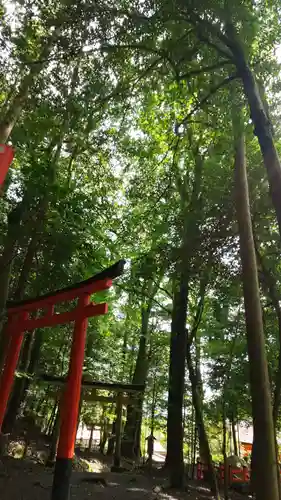 出雲大神宮の鳥居