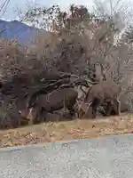 三峯神社(埼玉県)