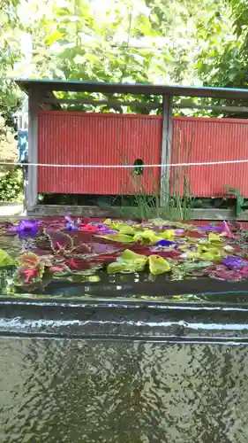 前玉神社の手水舎