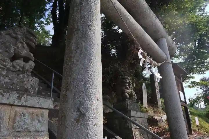 阿久津「田村神社」(郡山市阿久津町)旧社名:伊豆箱根三嶋三社の狛犬