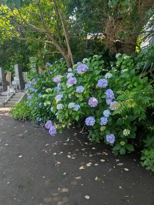 教恩寺(神奈川県)
