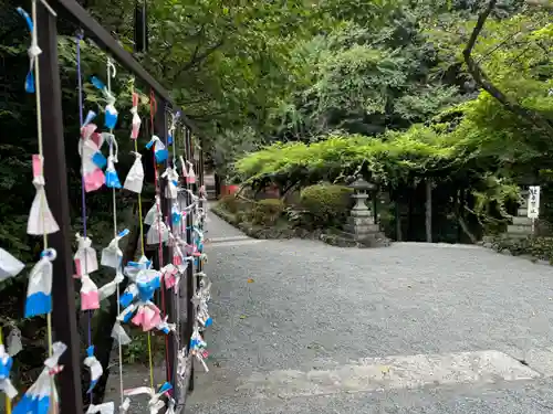 富士山本宮浅間大社(静岡県)