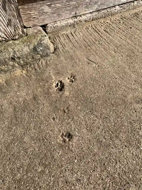 善行寺(千葉県)