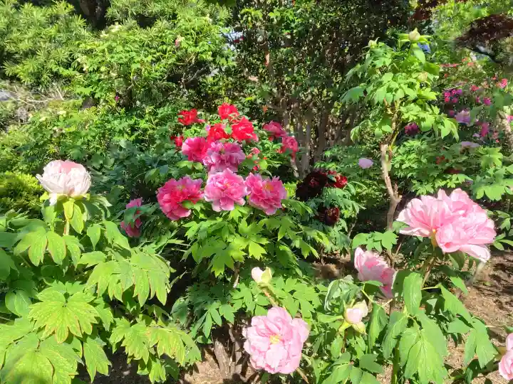 石光寺(奈良県)