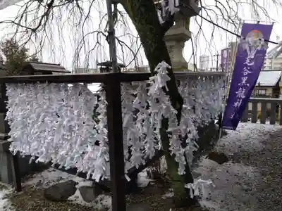 毛谷黒龍神社(福井県)