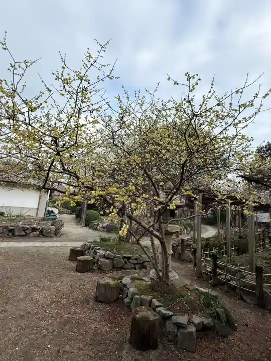 石光寺の{uncategorized: "未分類", other: "その他", undefined: "問題あり", building: "その他建物", grave: "お墓", sacred_gate: "鳥居", guardian: "狛犬", statue: "像", buddha: "仏像", history: "歴史", nature: "自然", garden: "庭園", animal: "動物", pagoda: "塔", temizu: "手水舎", mountain_gate: "山門・神門", sanctuary: "本殿・本堂", subordinate: "末社・摂社", art: "芸術", scenery: "景色", jizo: "地蔵", ema: "絵馬", goshuin: "御朱印", omikuji: "おみくじ", items: "授与品その他", amulet: "お守り", goshuincho: "御朱印帳", eats: "食事", festival: "お祭り", votive_dance: "神楽", shichigosan: "七五三参", wedding: "結婚式", experience: "体験その他", initially: "初詣", around: "周辺", anti_infection: "感染症対策"}