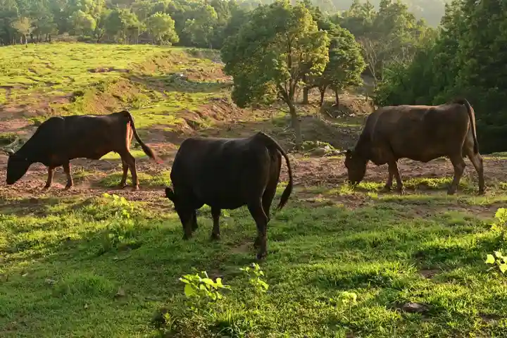宇受賀命神社(島根県)