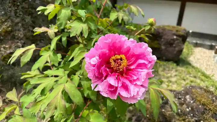 圓融寺(埼玉県)