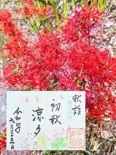 畑子安神社の御朱印