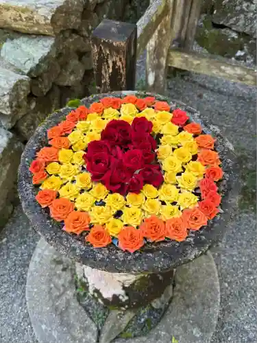 丹生都比売神社(和歌山県)