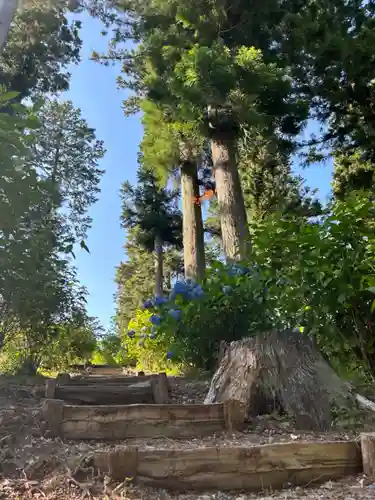 深妙寺(長野県)