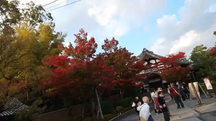 高台寺(高台寿聖禅寺・高臺寺)の景色