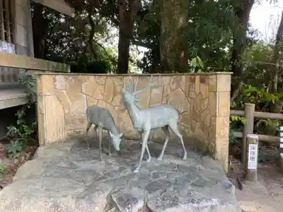 志賀海神社の狛犬