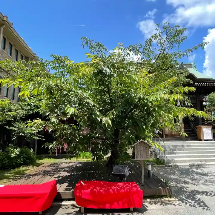 桜神宮(東京都)