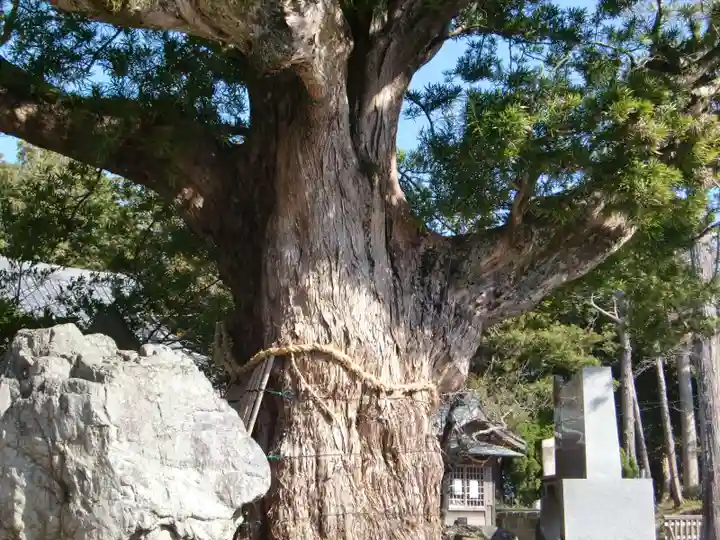 鶴谷八幡宮の自然