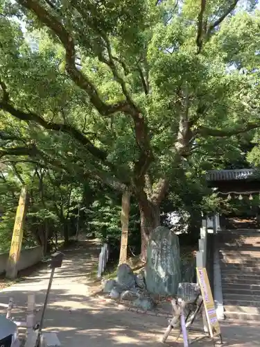 東雲神社の自然