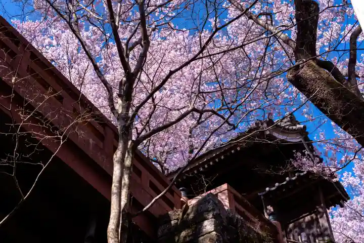 新城藤原神社(長野県)