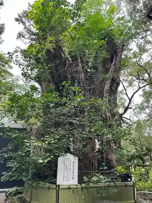 加藤神社(熊本県)