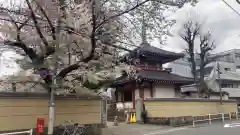 新井薬師（梅照院）(東京都)