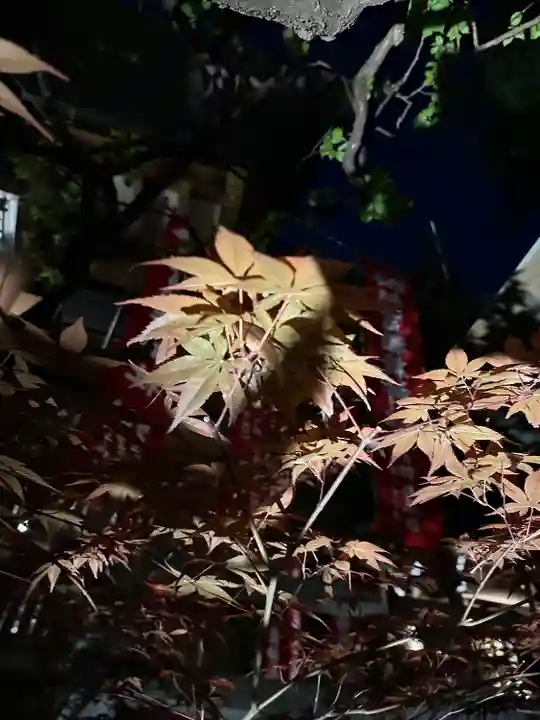 東京大神宮(東京都)