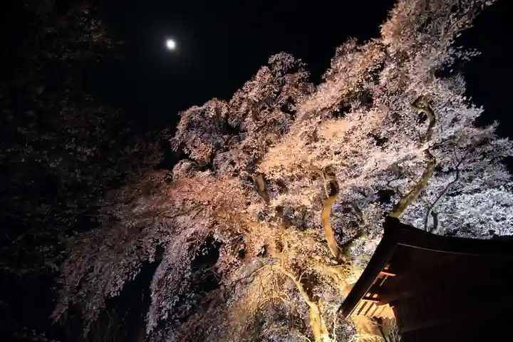 天神さまの祠の自然