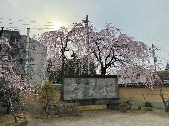 寛永寺(根本中堂)の{uncategorized: "未分類", other: "その他", undefined: "問題あり", building: "その他建物", grave: "お墓", sacred_gate: "鳥居", guardian: "狛犬", statue: "像", buddha: "仏像", history: "歴史", nature: "自然", garden: "庭園", animal: "動物", pagoda: "塔", temizu: "手水舎", mountain_gate: "山門・神門", sanctuary: "本殿・本堂", subordinate: "末社・摂社", art: "芸術", scenery: "景色", jizo: "地蔵", ema: "絵馬", goshuin: "御朱印", omikuji: "おみくじ", items: "授与品その他", amulet: "お守り", goshuincho: "御朱印帳", eats: "食事", festival: "お祭り", votive_dance: "神楽", shichigosan: "七五三参", wedding: "結婚式", experience: "体験その他", initially: "初詣", around: "周辺", anti_infection: "感染症対策"}