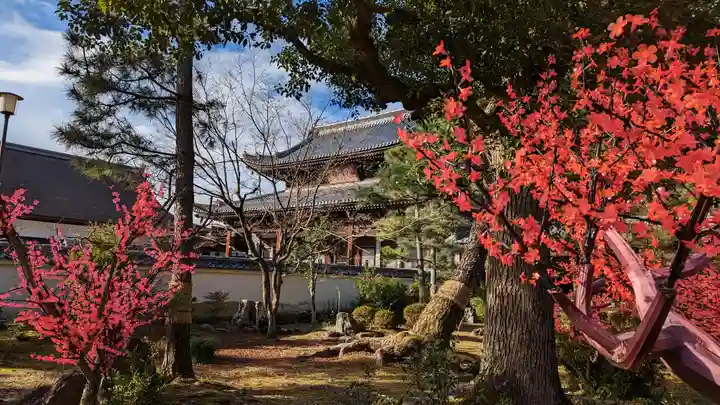 萬福寺(京都府)